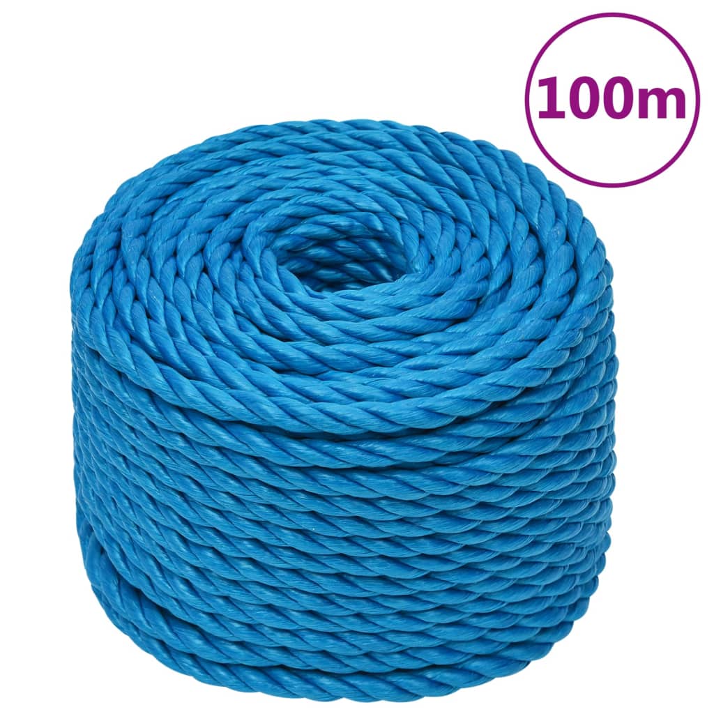 Berkfield Work Rope Blue 20 mm 100 m Polypropylene