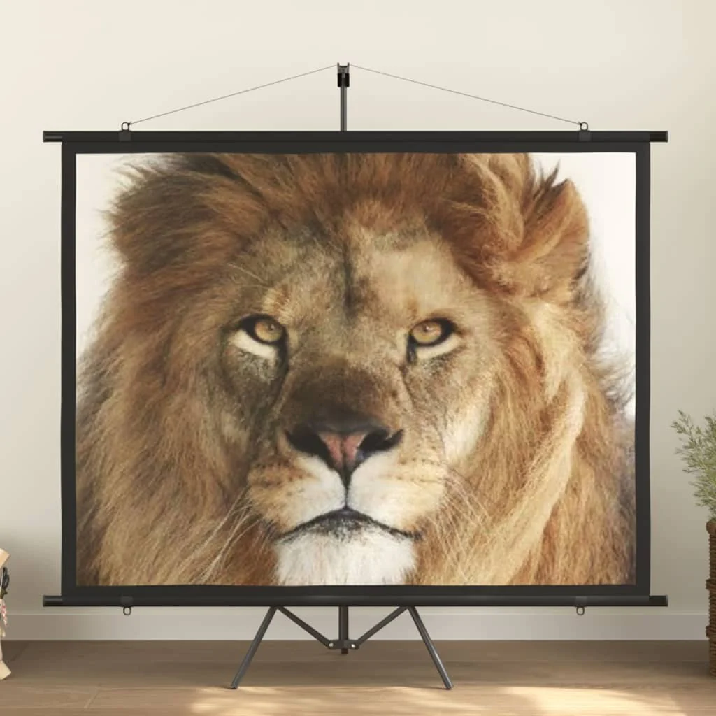 Berkfield Projection Screen 100" 4:3